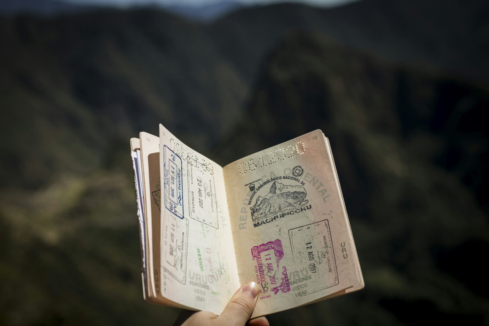 Visa Services